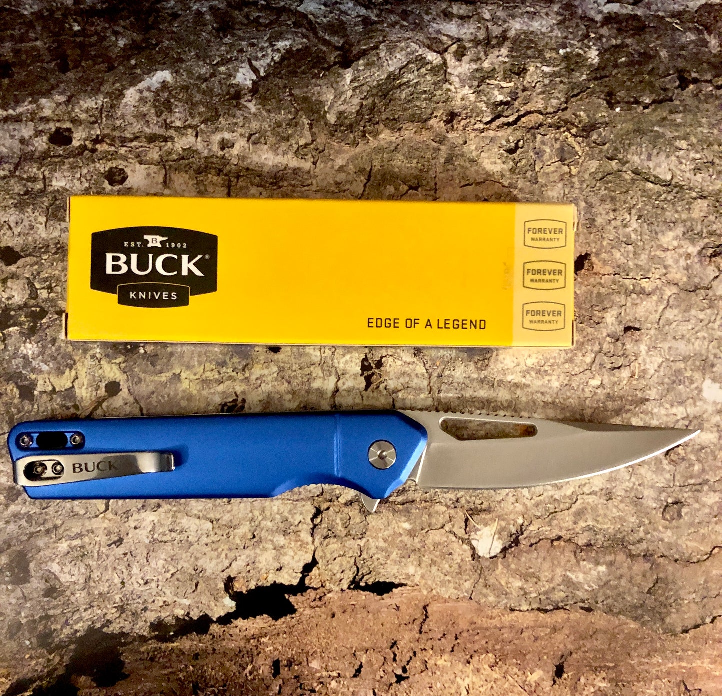 Buck Infusion Linerlock A/O Blue BU239BLS