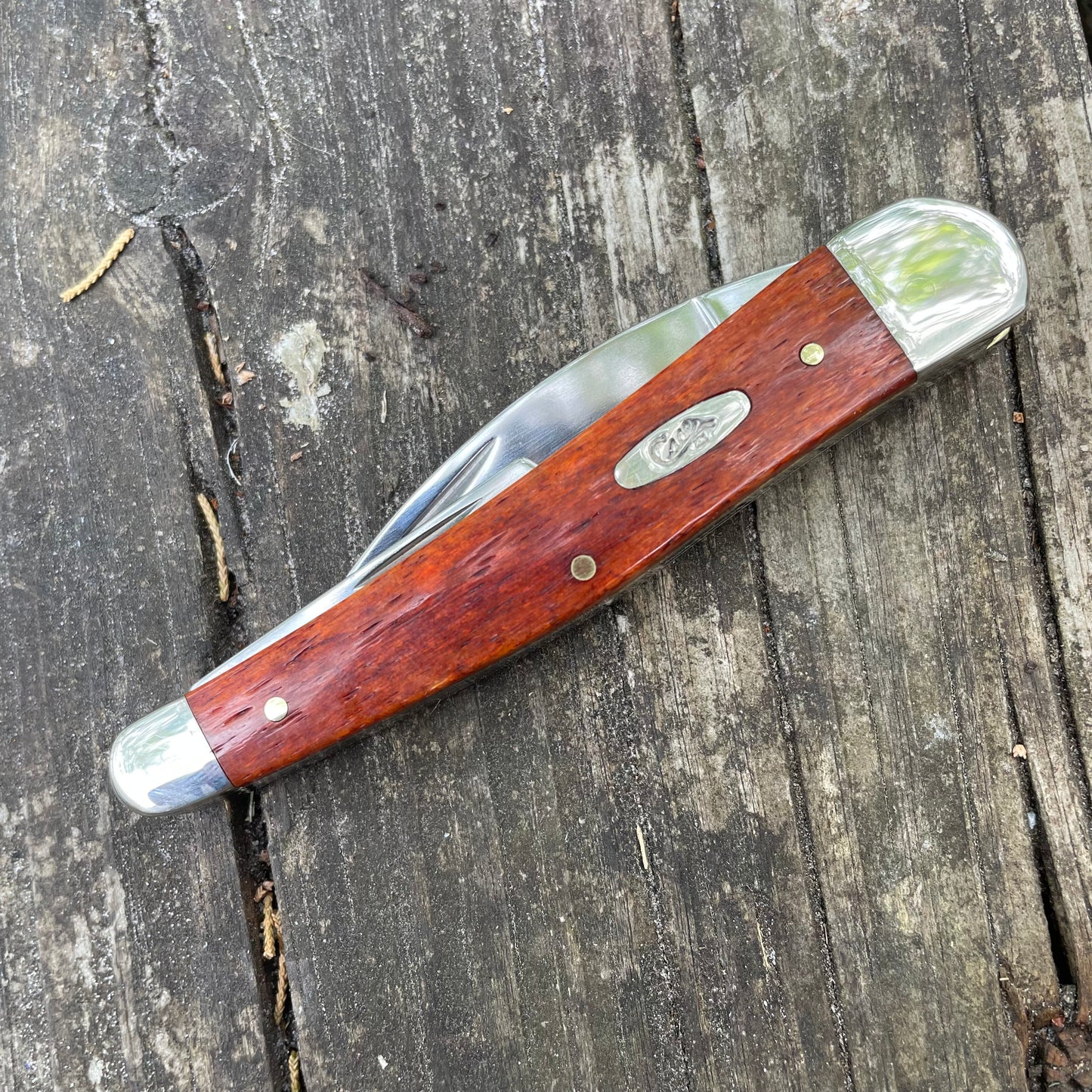 Case XX Chestnut Bone Smooth Seahorse Whittler CA28913