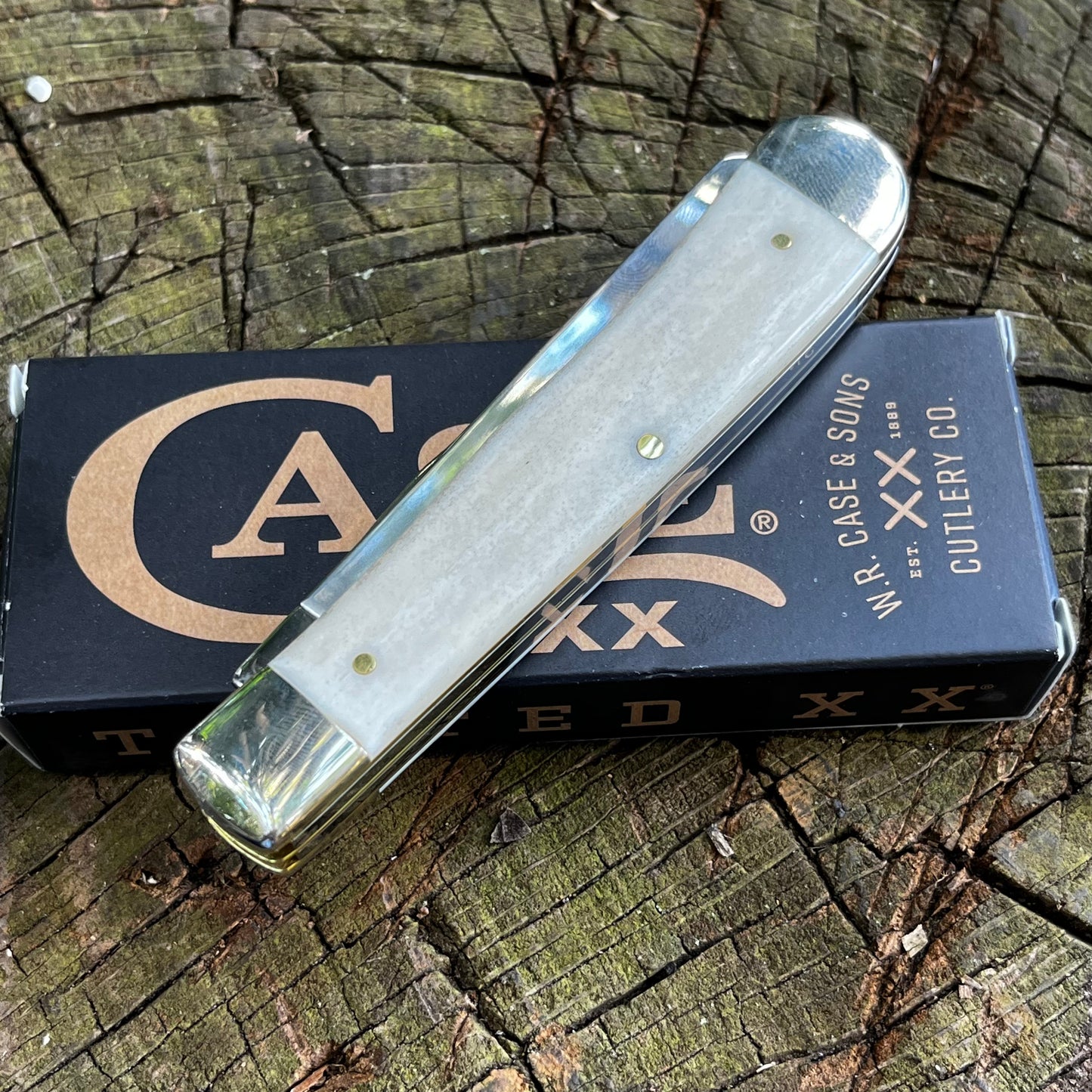Case XX Sportsman Series Scrimshaw White Bone Trapper - Bear