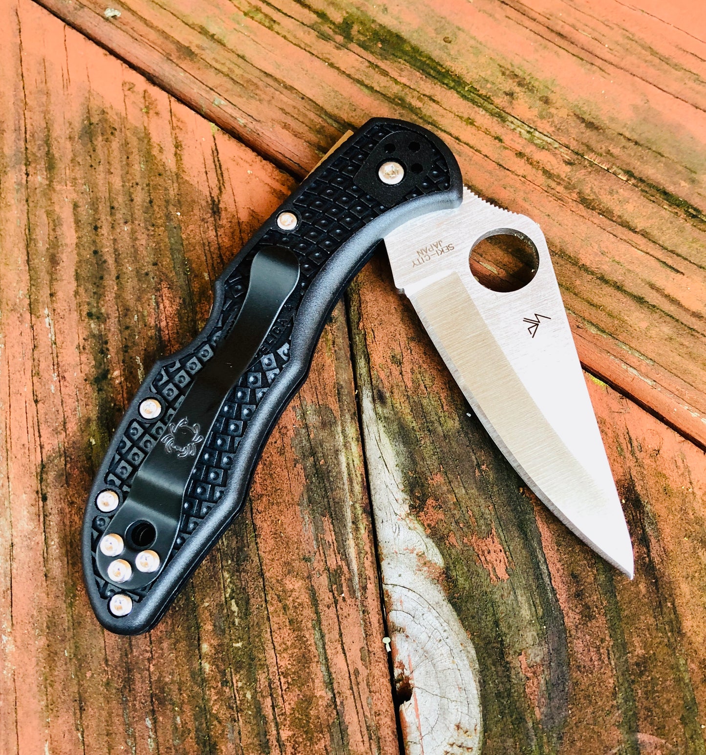 Spyderco Delica 4 Lockback Black