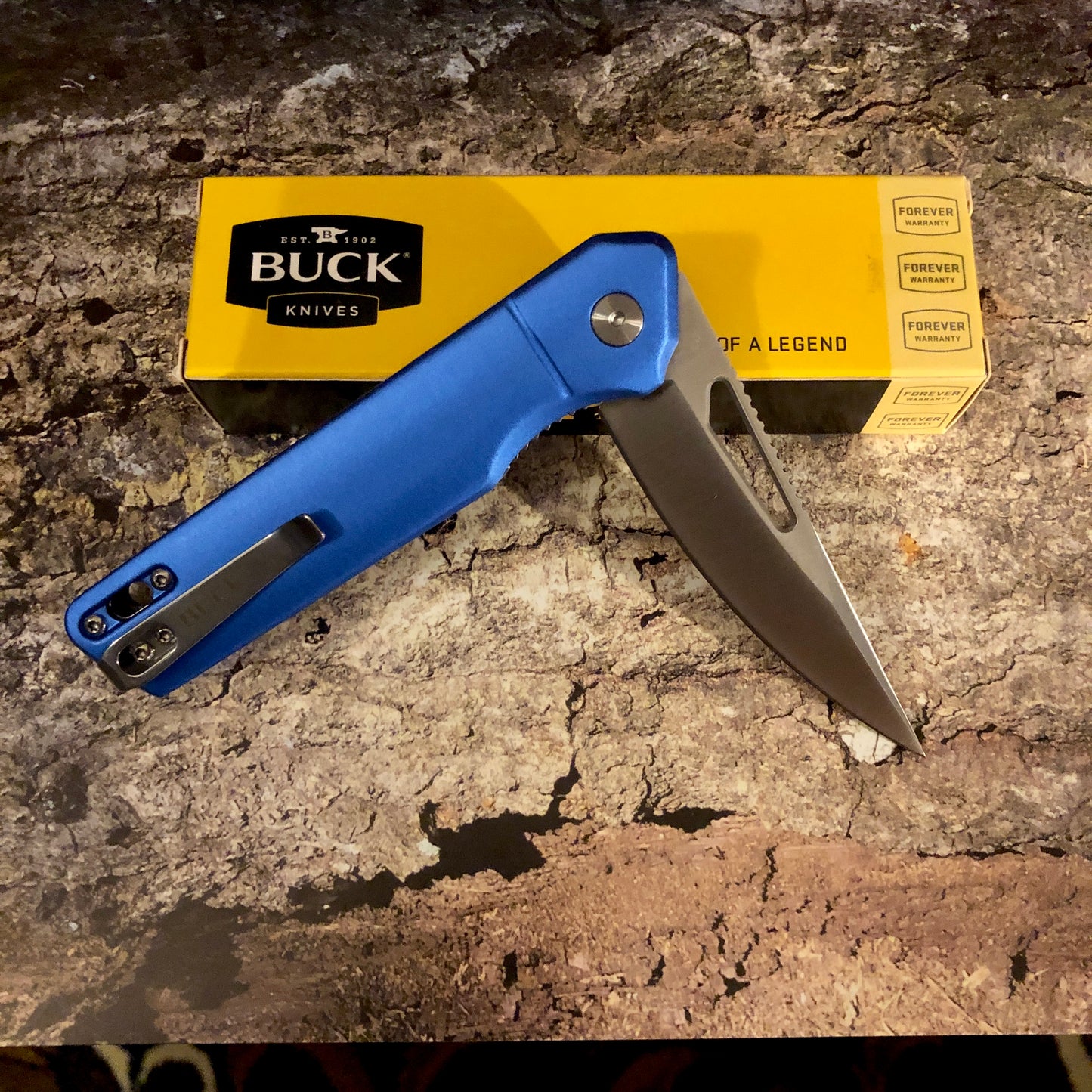 Buck Infusion Linerlock A/O Blue BU239BLS