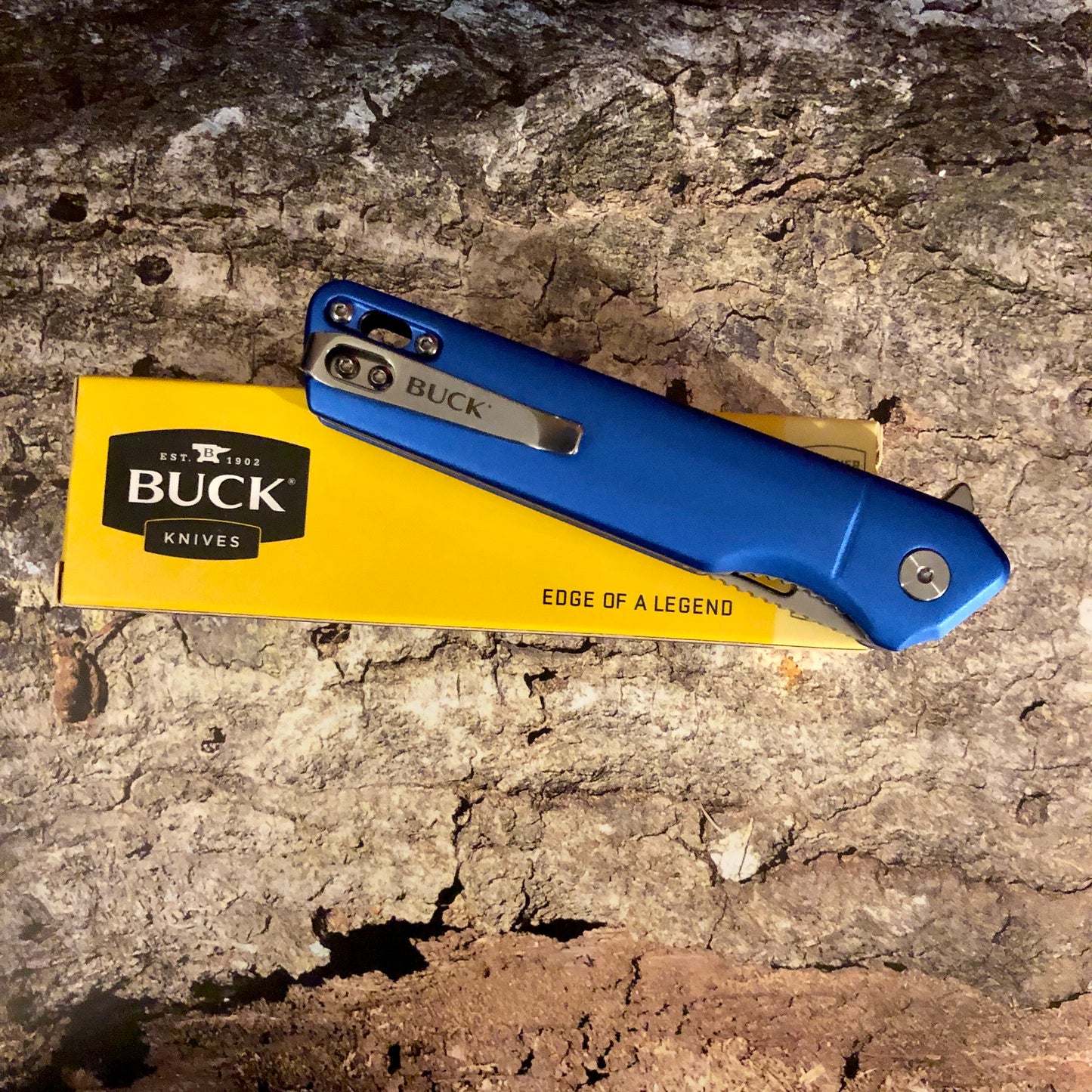 Buck Infusion Linerlock A/O Blue BU239BLS