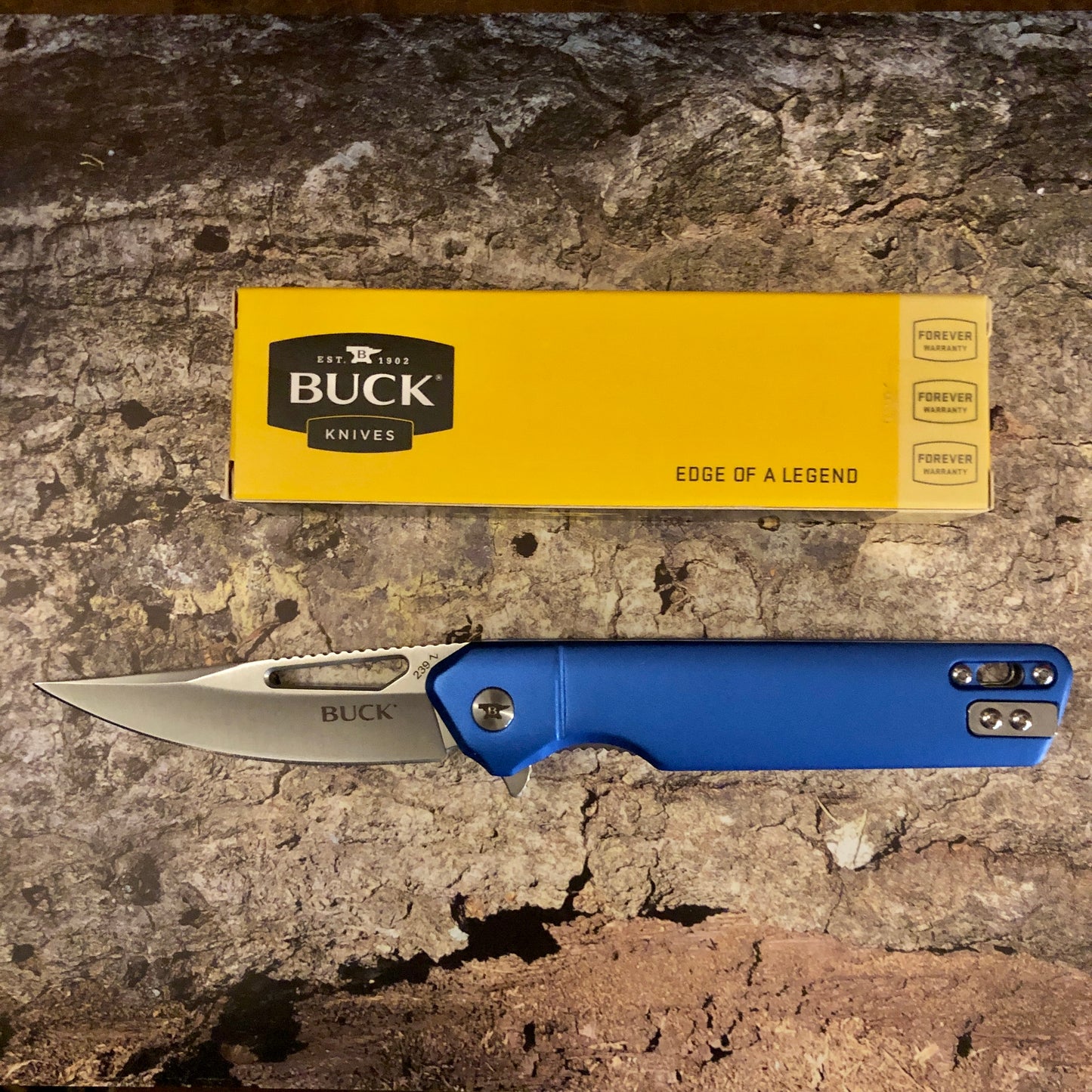 Buck Infusion Linerlock A/O Blue BU239BLS