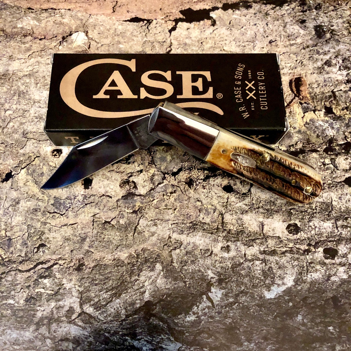 CASE Barlow 6.5 Bonestag CA65339