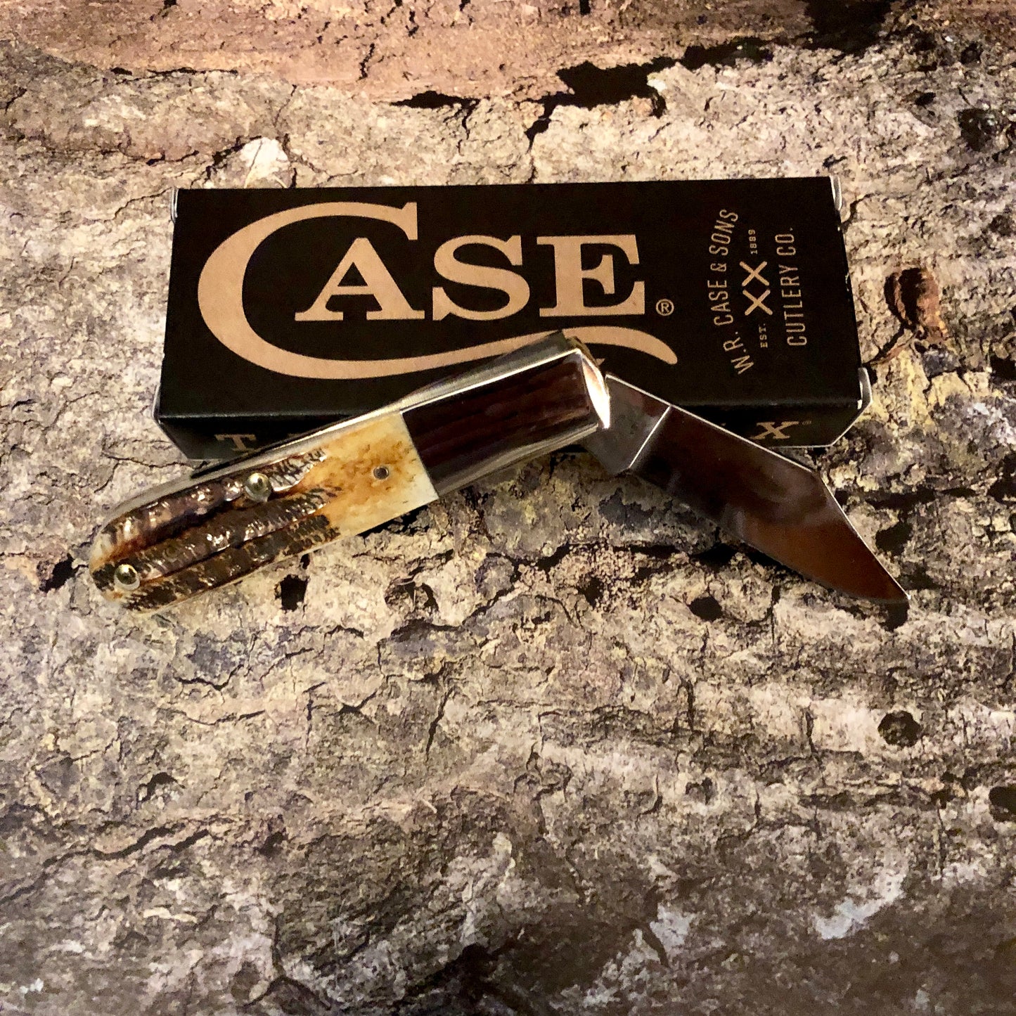 CASE Barlow 6.5 Bonestag CA65339