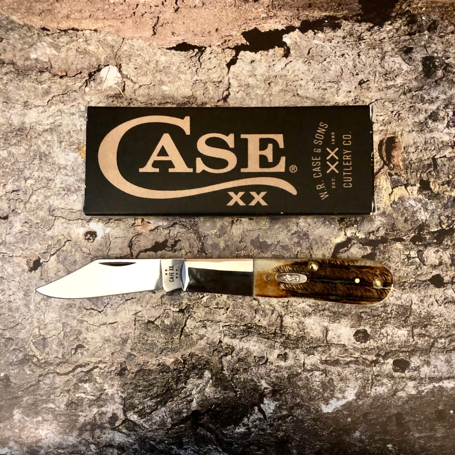 CASE Barlow 6.5 Bonestag CA65339