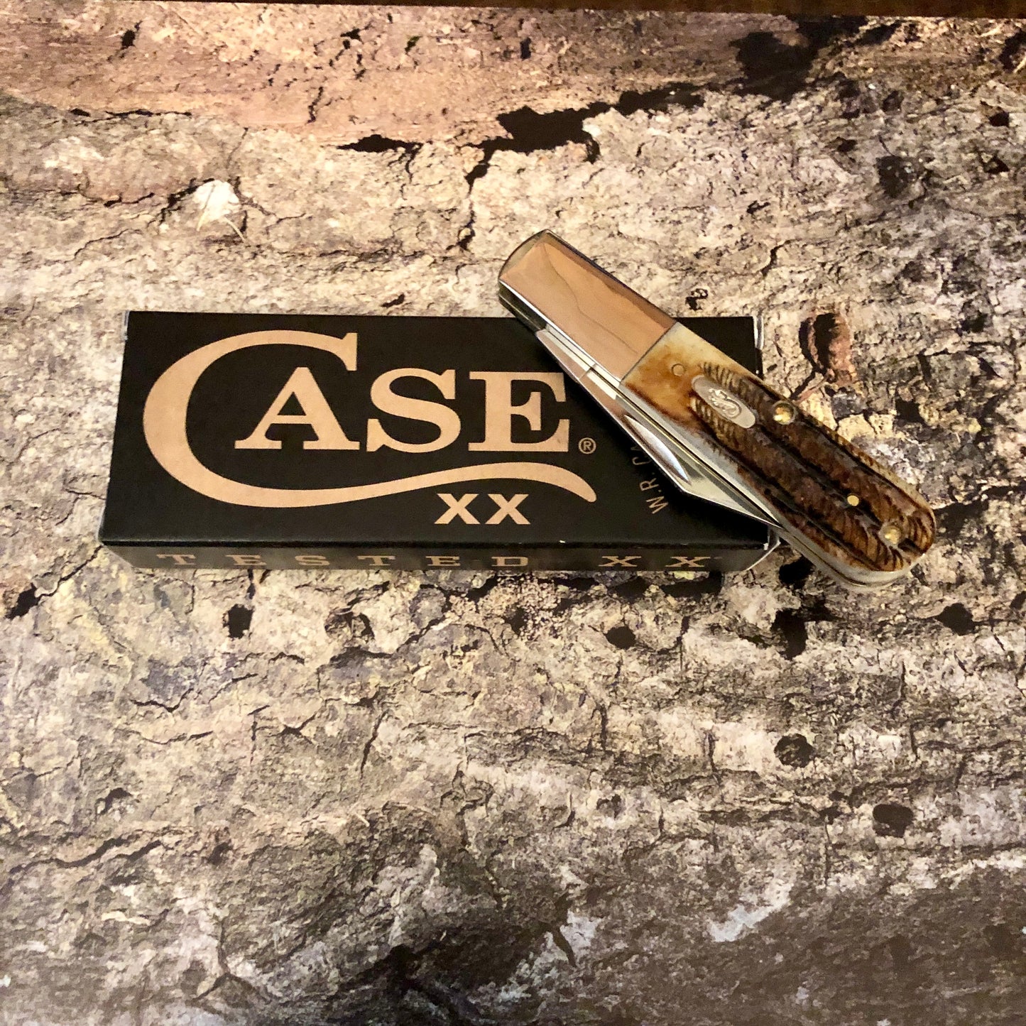 CASE Barlow 6.5 Bonestag CA65339