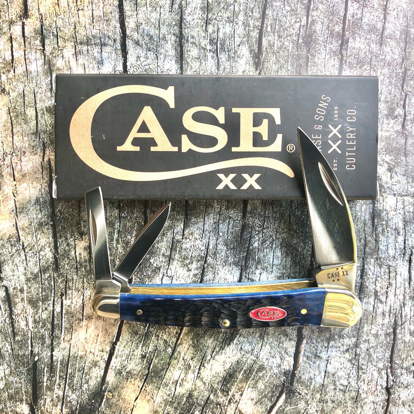Seahorse Whittler Pocket Knife – Navy Blue Bone – Tru-Sharp® Stainless – Case XX CA06889