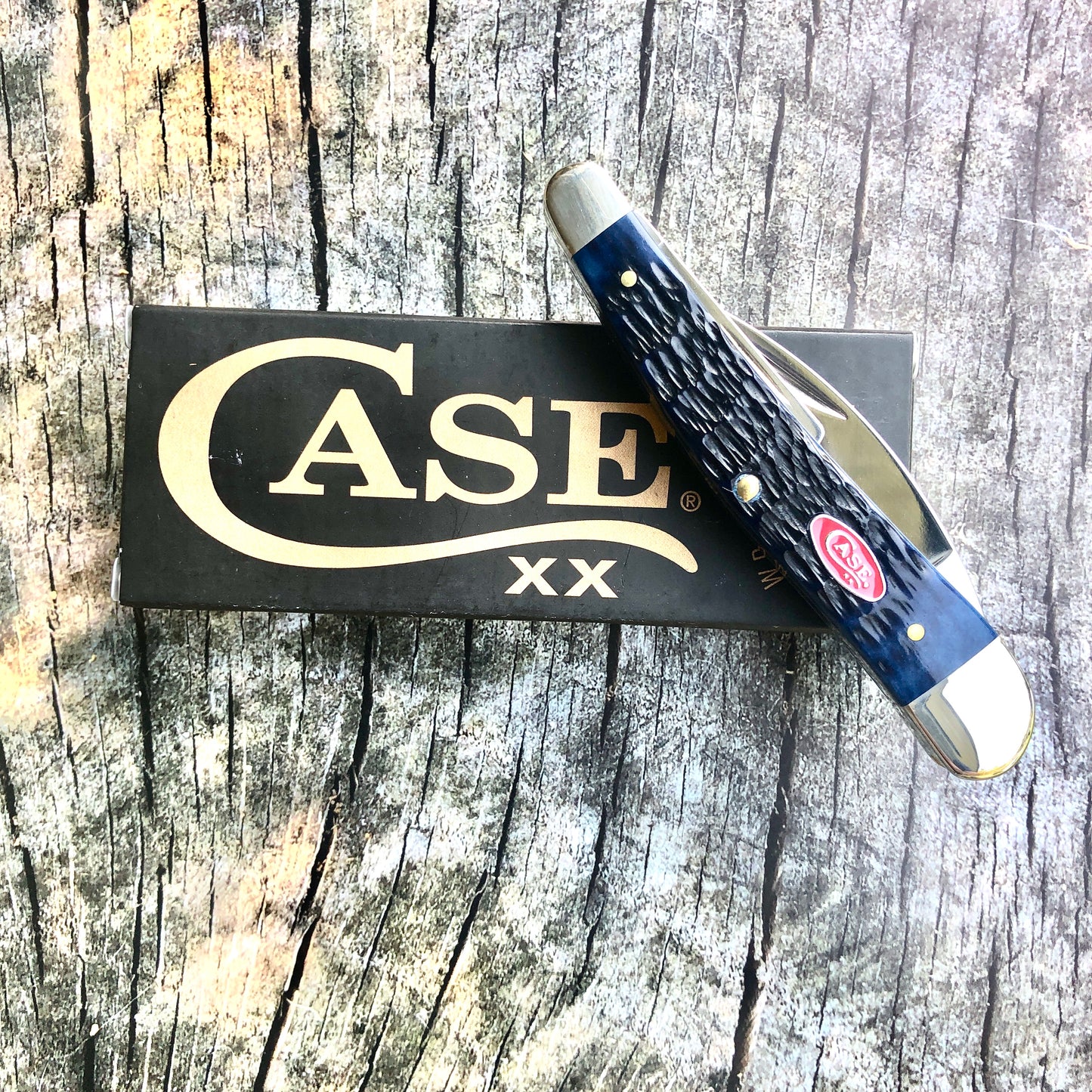 Seahorse Whittler Pocket Knife – Navy Blue Bone – Tru-Sharp® Stainless – Case XX CA06889