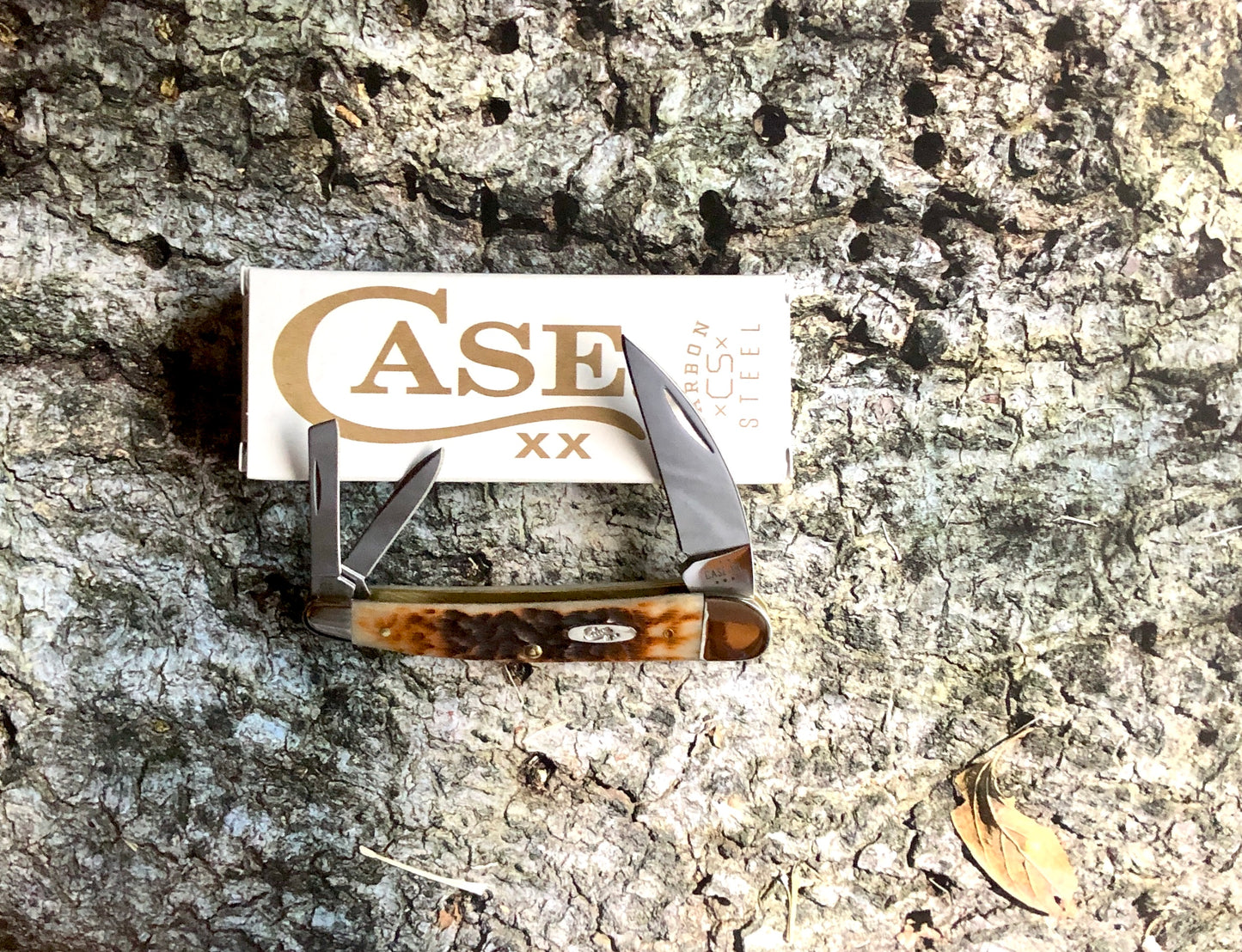 Case XX CA30094 Seahorse Whittler — Peach Seed Jig Amber Bone | Carbon Steel Blades