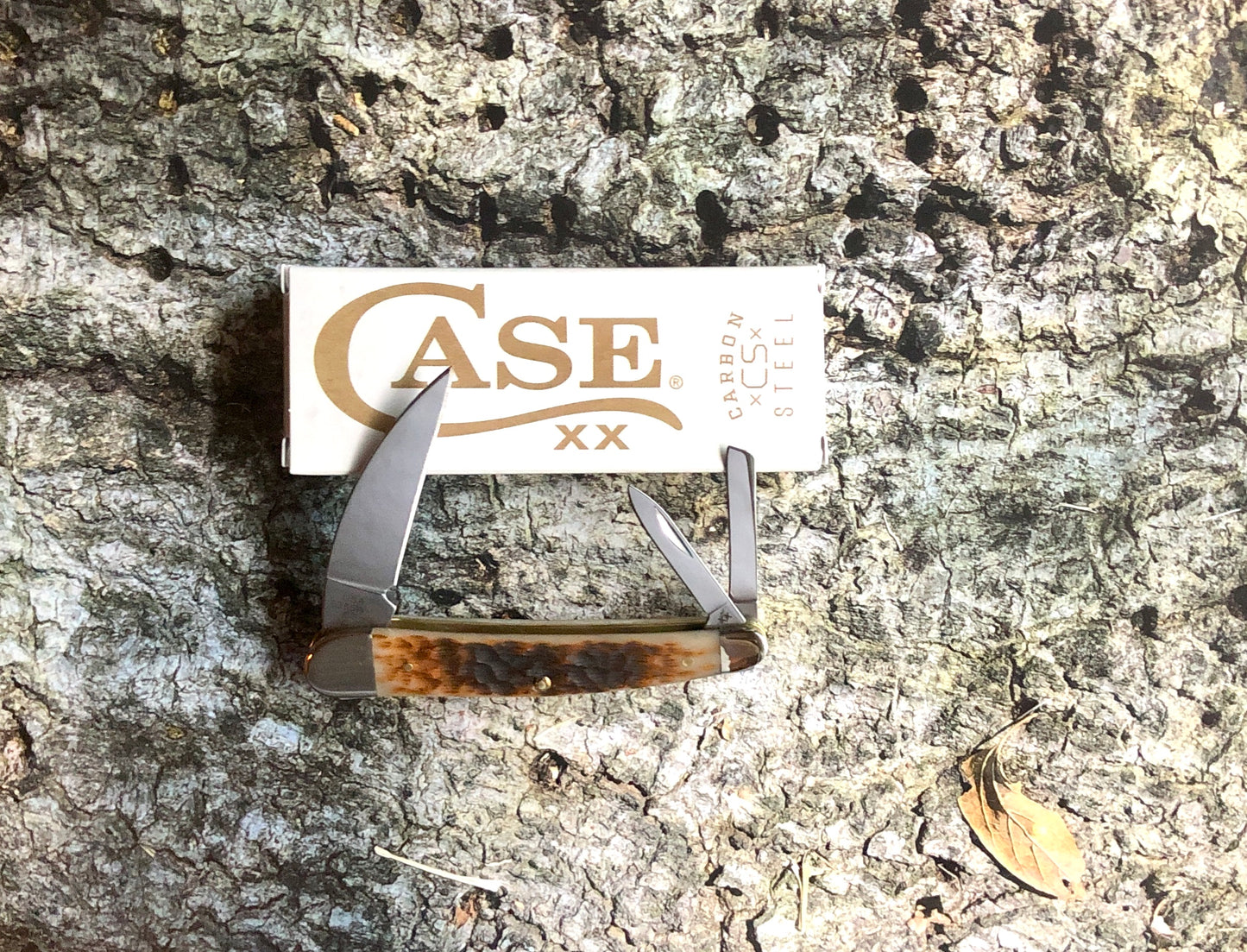 Case XX CA30094 Seahorse Whittler — Peach Seed Jig Amber Bone | Carbon Steel Blades