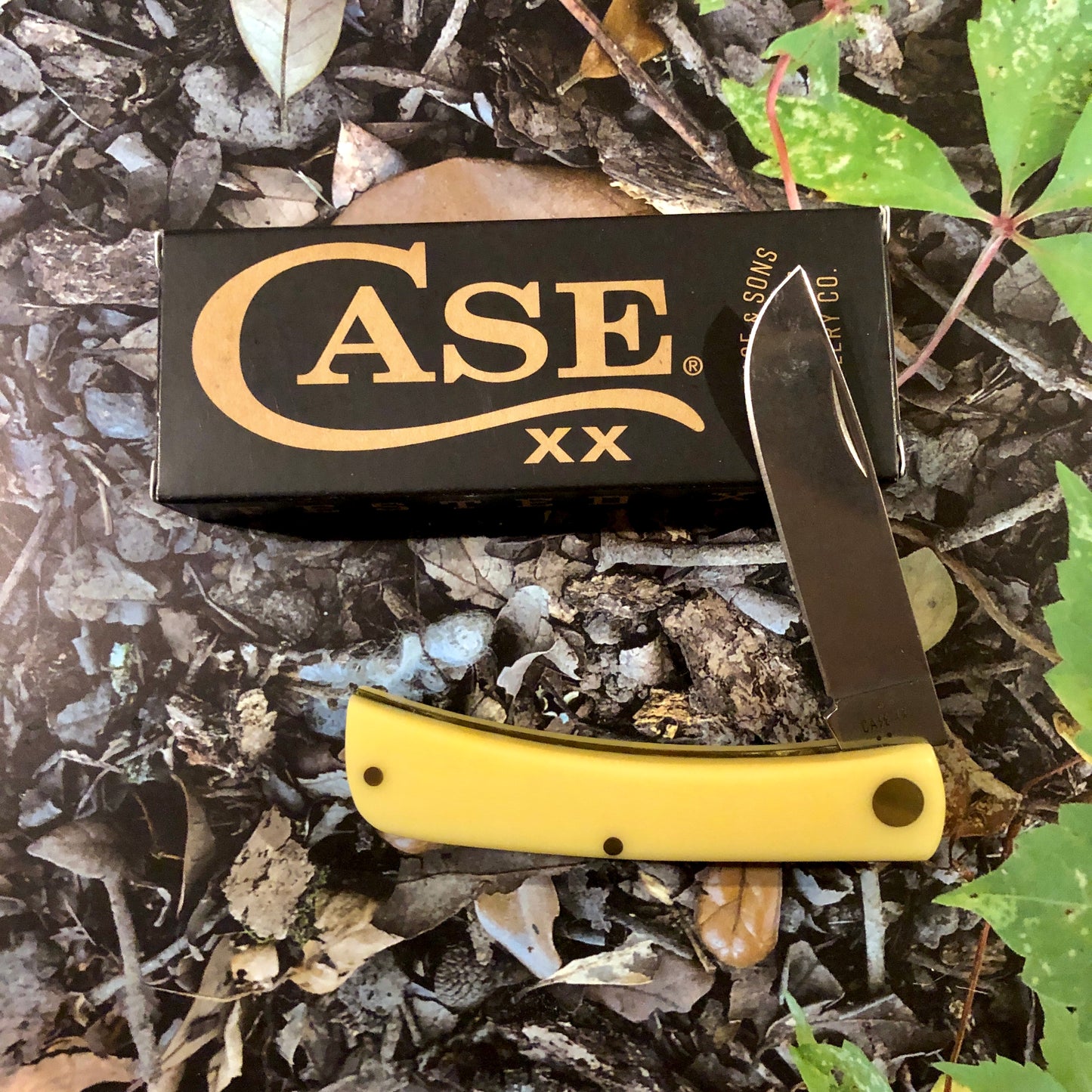 Case XX CA80032 Sod Buster Jr® — Yellow Synthetic Handle | Skinner Blade