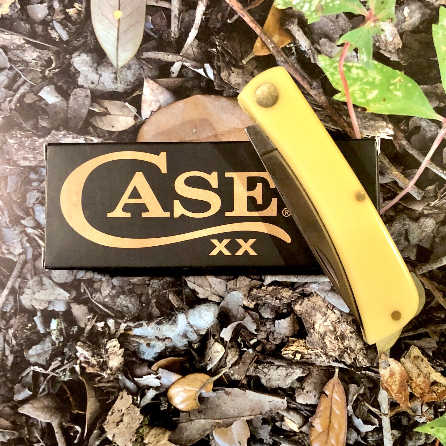 Case XX CA80032 Sod Buster Jr® — Yellow Synthetic Handle | Skinner Blade
