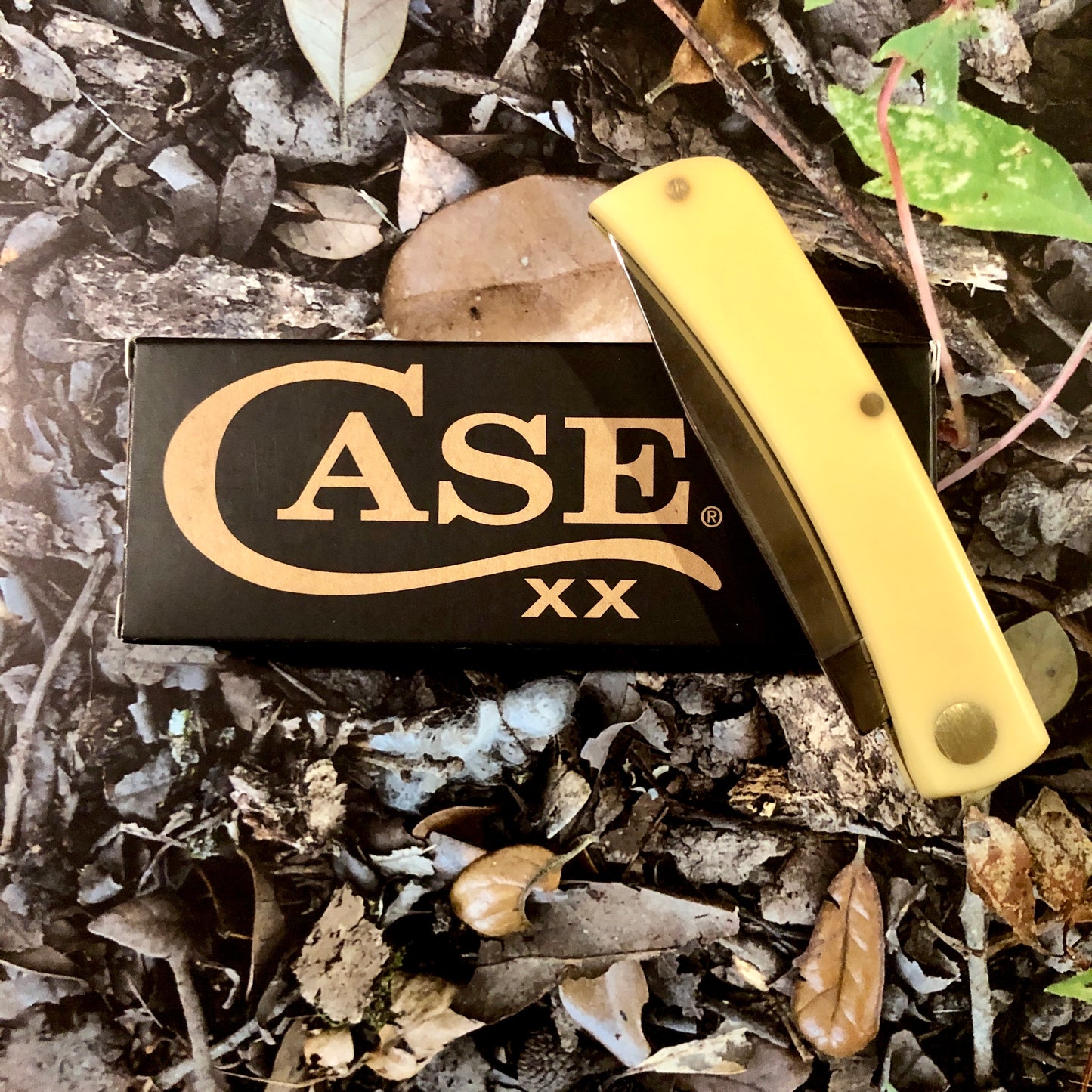 Case XX CA80032 Sod Buster Jr® — Yellow Synthetic Handle | Skinner Blade
