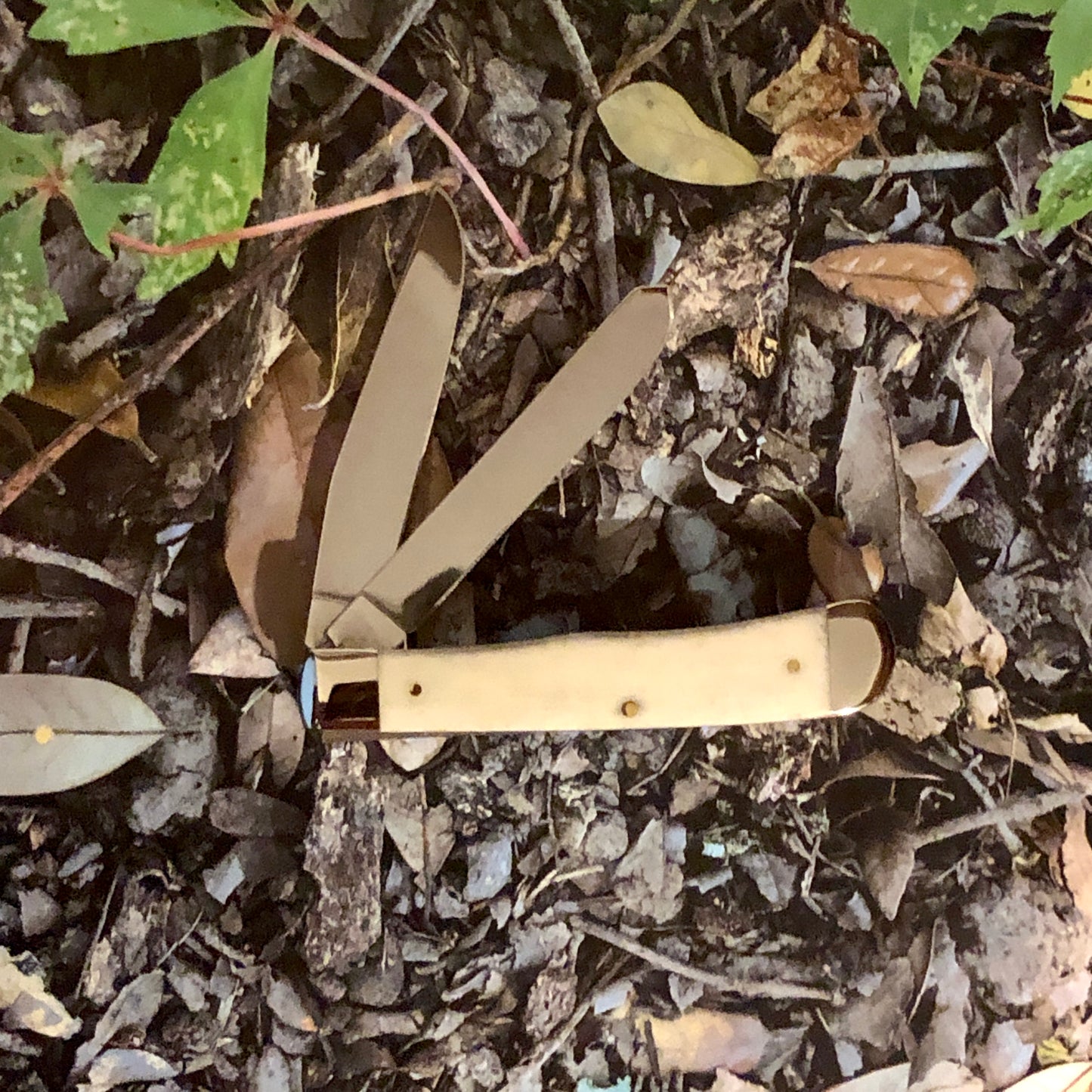 Case XX US Veterans Trapper CA16300