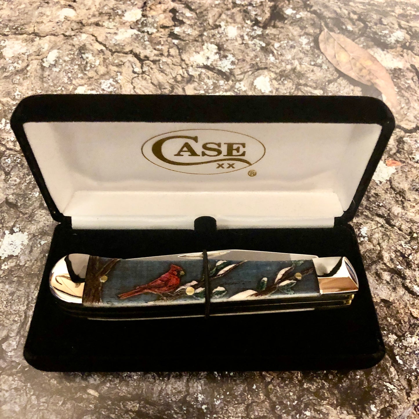 Case XX Trapper Cardinal CA39159