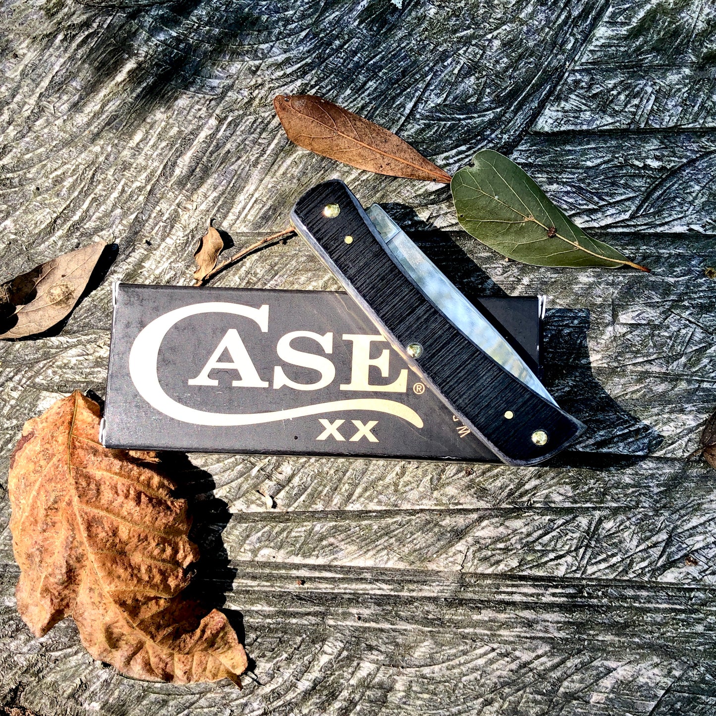 Case XX Sod Buster Jr Gray Sawcut CA53062