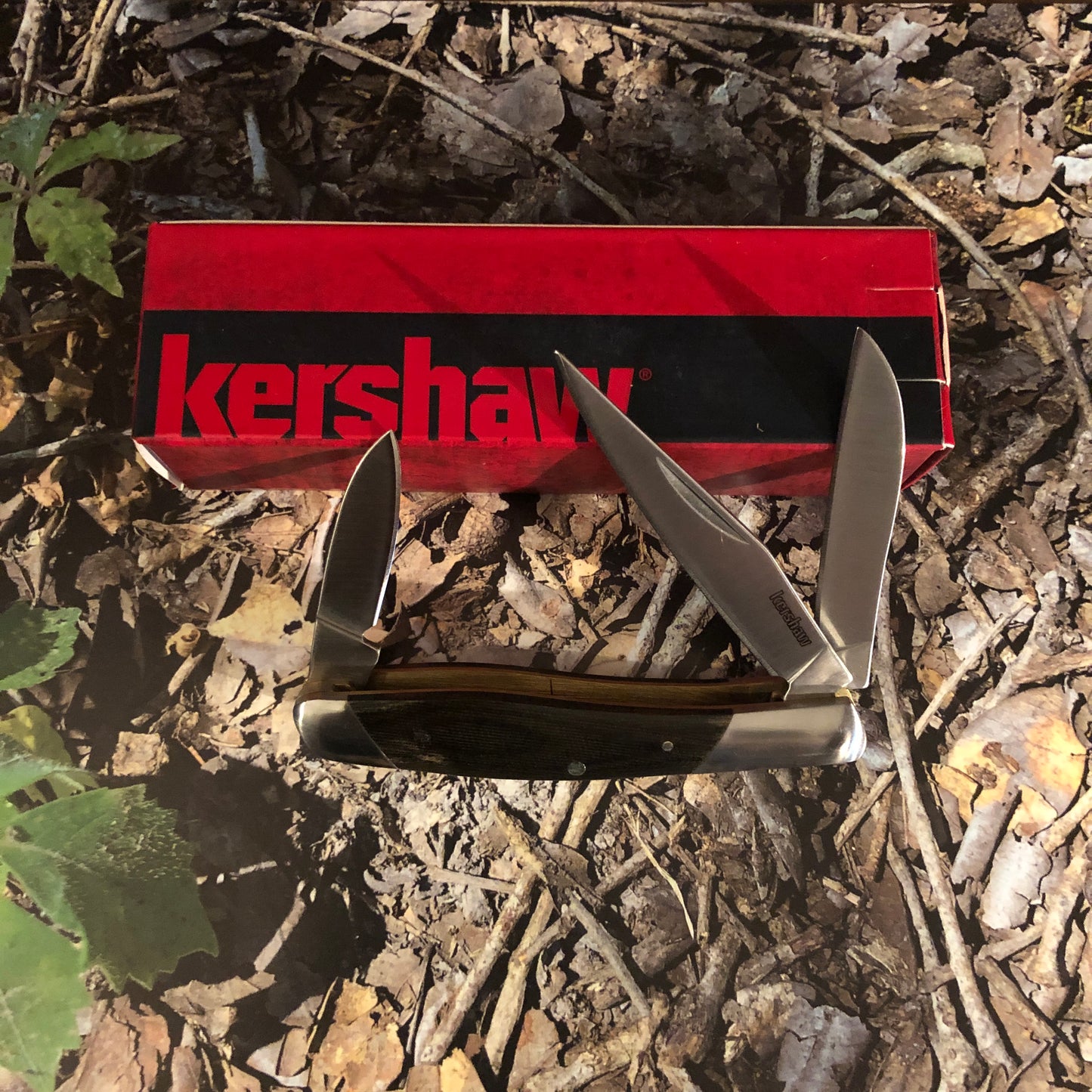Kershaw Iredale Folder KS4386