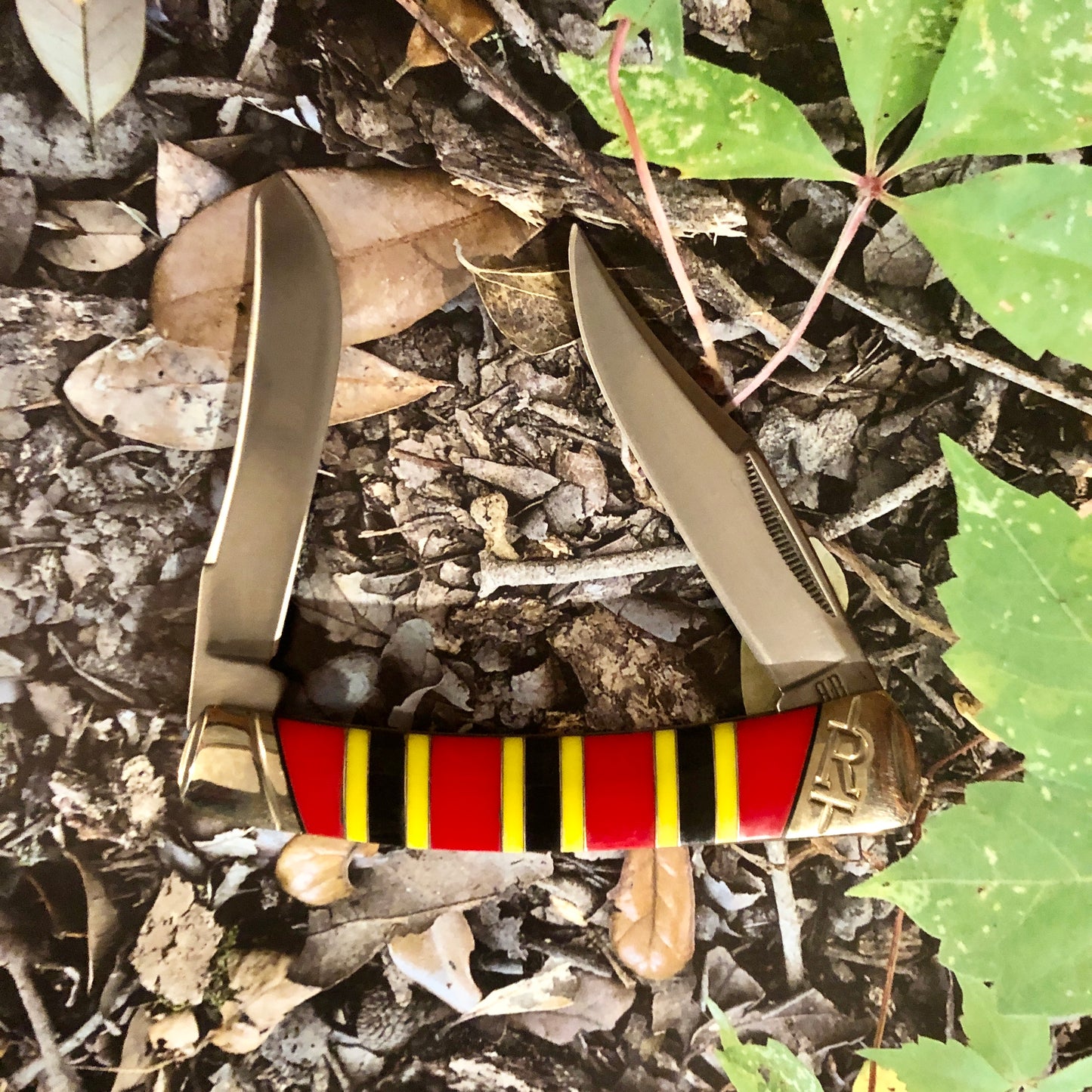 Rough Rider Large Moose Coral Snake RR2274