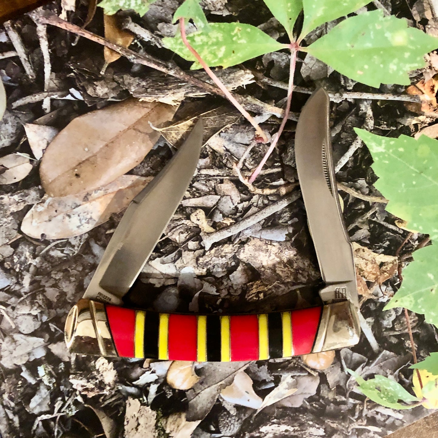 Rough Rider Large Moose Coral Snake RR2274