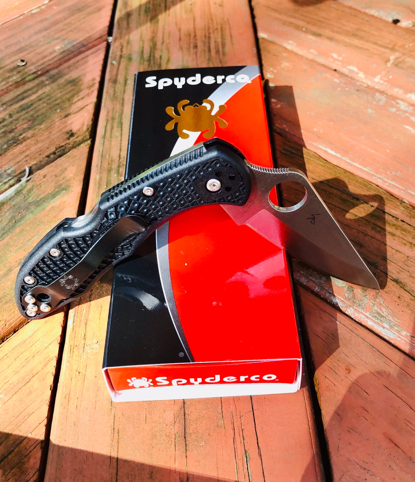 Spyderco Delica 4 Lockback Black