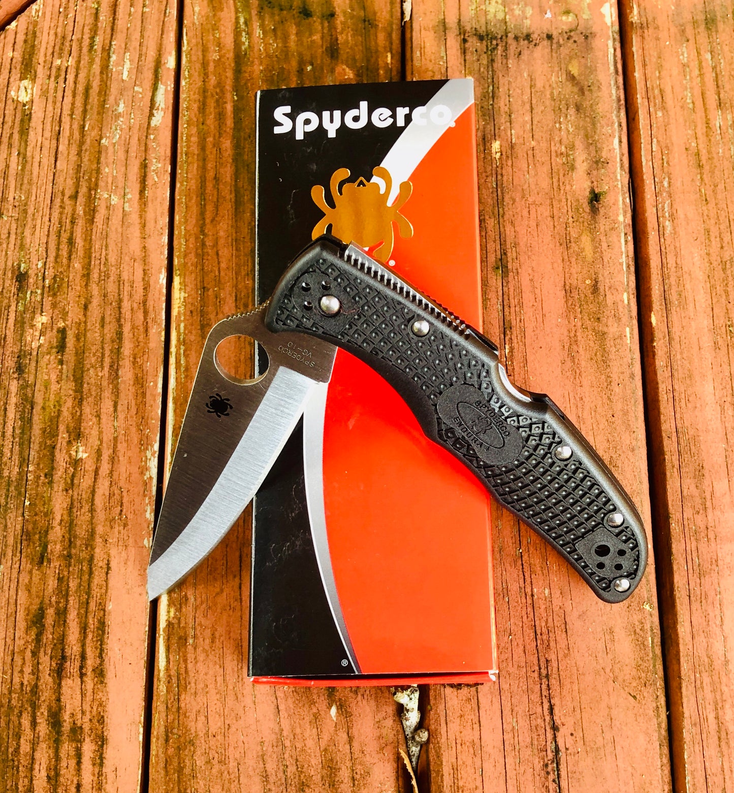 Spyderco Delica 4 Lockback Black